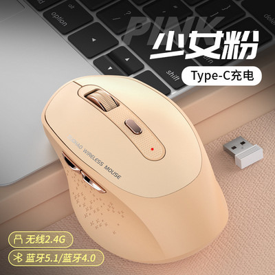 Mouse de computer bluetooth fără fir de 2,4 Ghz Mouse silențios reîncărcabil tip C pentru utilizare la birou Mouse optic cu 6 butoane de 1200 dpi