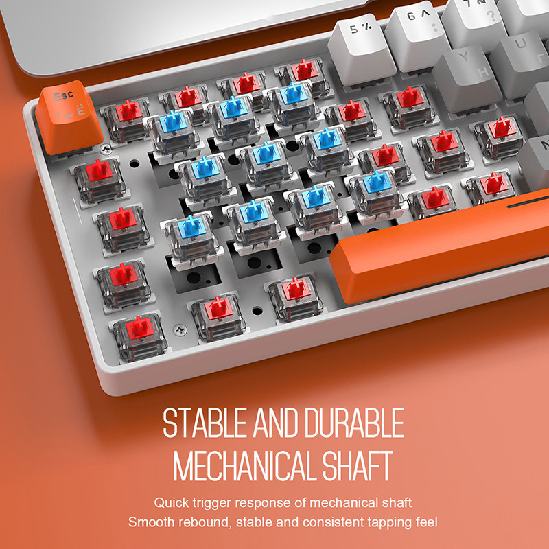 RGB svjetlo Gaming Tipkovnica USB Žičana Računalna Ergonomija Mini 62 tipke Tipkovnice Rusko Engleska Mehanička tipkovnica Crveni prekidač