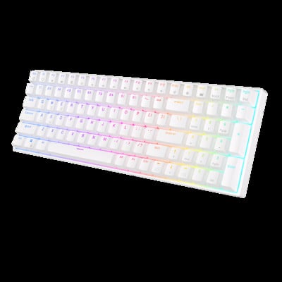 2.4G bežična/Bluetooth/žičana mehanička tipkovnica 100 tipki RGB pozadinsko osvjetljenje Hot Swappable igraće tipkovnice RK Royal Kludge RK100