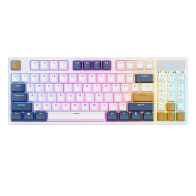 RK89 89 klávesov RGB bezdrôtová Bluetooth mechanická klávesnica Tri-Mode BT5.0/2.4G/USB Hot Swappable herná klávesnica pre tablety a stolné počítače