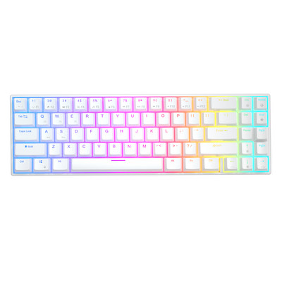 RK71 71 tipka 70% RGB Tri-Mode mehanička tipkovnica 2.4G bežična Bluetooth 5.0 žična igračka tipkovnica s mogućnošću vruće izmjene ROYAL KLUDGE