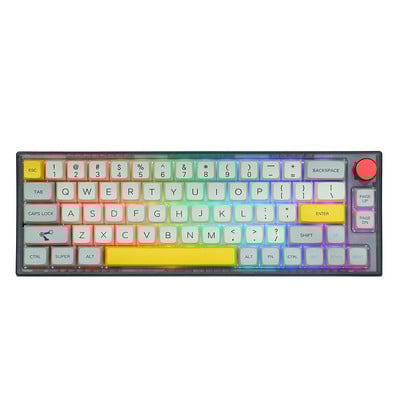 EPOMAKER TH66 65% karstā režīmā maināms RGB 2,4 GHz/Bluetooth 5.0/vadu bezvadu mehāniskā tastatūra MDA PBT taustiņu vāciņi teclado mecânico