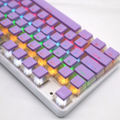 104 tipke PBT Pudding tipkovnice Dvobojna injekcija OEM profil DIY gaming mehanička tipkovnica tipkovnice za Gateron Cherry MX prekidač