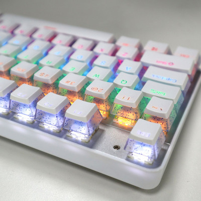 104 tipke PBT Pudding tipkovnice Dvobojna injekcija OEM profil DIY gaming mehanička tipkovnica tipkovnice za Gateron Cherry MX prekidač