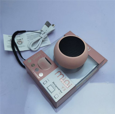 Mini Haut-Parleur s Radiateur de Basses Personal, Baffle Étanche Super Portable, Étui de Voyage Emballé, Bluetooth Y3