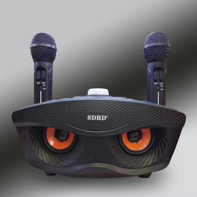 SD306 Duálny bezdrôtový mikrofón Bluetooth kompatibilný reproduktor Mobilný bezdrôtový karaoke reproduktor Bezdrôtová stereo sada reproduktorov horúci výpredaj