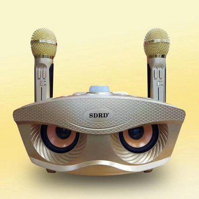 SD306 Duálny bezdrôtový mikrofón Bluetooth kompatibilný reproduktor Mobilný bezdrôtový karaoke reproduktor Bezdrôtová stereo sada reproduktorov horúci výpredaj