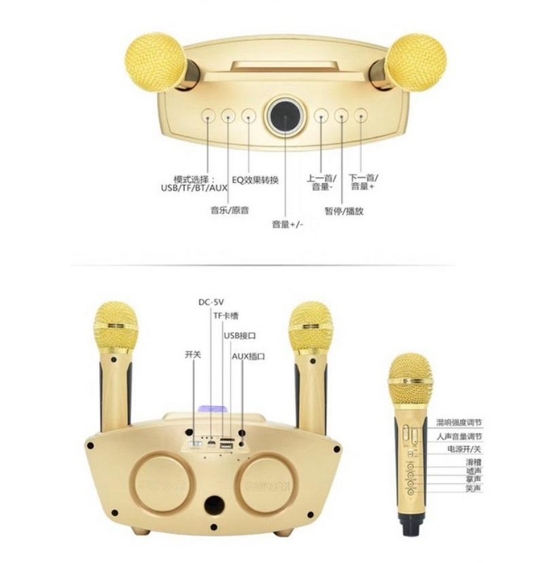 SD306 Duálny bezdrôtový mikrofón Bluetooth kompatibilný reproduktor Mobilný bezdrôtový karaoke reproduktor Bezdrôtová stereo sada reproduktorov horúci výpredaj