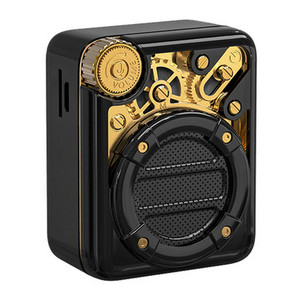 „Divoom“ belaidis „Bluetooth“ garsiakalbis Mini nešiojamasis / kišeninis radijas / kištukinė kortelė MP3 / AI išmanusis asistentas