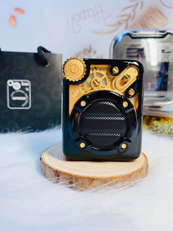 „Divoom“ belaidis „Bluetooth“ garsiakalbis Mini nešiojamasis / kišeninis radijas / kištukinė kortelė MP3 / AI išmanusis asistentas