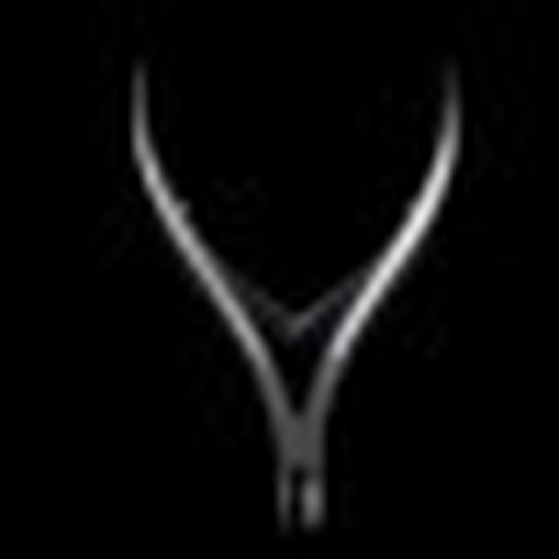 Profesionalios nerūdijančio plieno odelių nagų kirpimo mašinėlė Nagų dailė Manikiūras Pedikiūras Priežiūra Apdailos replės pjaustyklės Grožio žirklės įrankiai