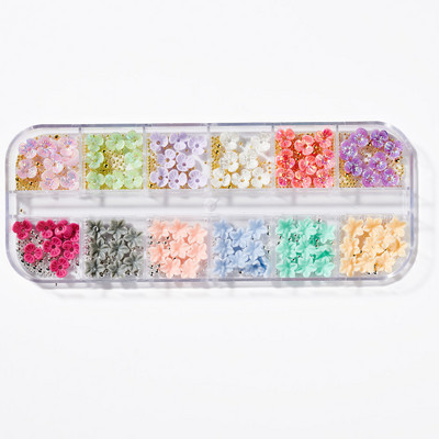 Nail Art Rhinestones komplekts 2400gb Nail Gems Ab Plakanais Rhinestones Dārgakmeņu akmeņi ar uzglabāšanas organizatoru dizainam Bright Holiday