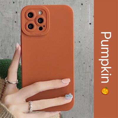 Έγχρωμη θήκη τηλεφώνου Earth Tones Soft Silicone για iPhone 14 13 12 11 Pro Max 7 8 Plus SE 2 X XR XS Max Camera Lens Protection Cover
