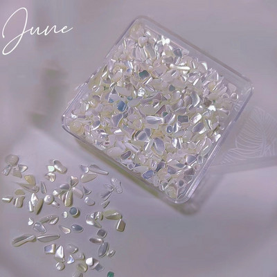 Ljeto Nail Art Rhinestones Ocean Nail Charms Shell Morska zvijezda Conch Sea Series 3D Beach Nail Design Dodaci Manikura DIY