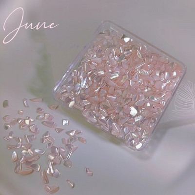 Ljeto Nail Art Rhinestones Ocean Nail Charms Shell Morska zvijezda Conch Sea Series 3D Beach Nail Design Dodaci Manikura DIY