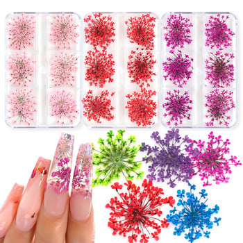 3D сухи цветя Декорация за нокти Истински мини стикери за изсушен цвят Естествени флорални талисмани Дизайн Направи си сам Маникюр Аксесоари за нокти