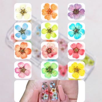 3D сухи цветя Декорация за нокти Истински мини стикери за изсушен цвят Естествени флорални талисмани Дизайн Направи си сам Маникюр Аксесоари за нокти