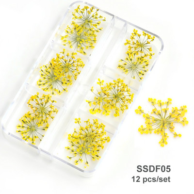 3D Dry Flower Nail Art Διακόσμηση Πραγματικά μίνι αυτοκόλλητα αποξηραμένα άνθη Φυσικά σχέδια με λουλουδάτα γοητεία DIY Αξεσουάρ για νύχια μανικιούρ