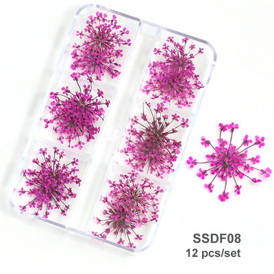 3D Dry Flower Nail Art Διακόσμηση Πραγματικά μίνι αυτοκόλλητα αποξηραμένα άνθη Φυσικά σχέδια με λουλουδάτα γοητεία DIY Αξεσουάρ για νύχια μανικιούρ