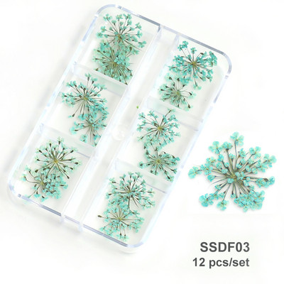 3D Dry Flower Nail Art Διακόσμηση Πραγματικά μίνι αυτοκόλλητα αποξηραμένα άνθη Φυσικά σχέδια με λουλουδάτα γοητεία DIY Αξεσουάρ για νύχια μανικιούρ