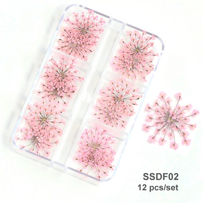 3D Dry Flower Nail Art Διακόσμηση Πραγματικά μίνι αυτοκόλλητα αποξηραμένα άνθη Φυσικά σχέδια με λουλουδάτα γοητεία DIY Αξεσουάρ για νύχια μανικιούρ