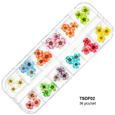 3D Dry Flower Nail Art Διακόσμηση Πραγματικά μίνι αυτοκόλλητα αποξηραμένα άνθη Φυσικά σχέδια με λουλουδάτα γοητεία DIY Αξεσουάρ για νύχια μανικιούρ