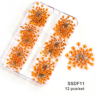 3D Dry Flower Nail Art Διακόσμηση Πραγματικά μίνι αυτοκόλλητα αποξηραμένα άνθη Φυσικά σχέδια με λουλουδάτα γοητεία DIY Αξεσουάρ για νύχια μανικιούρ