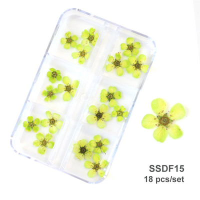 3D Dry Flower Nail Art Διακόσμηση Πραγματικά μίνι αυτοκόλλητα αποξηραμένα άνθη Φυσικά σχέδια με λουλουδάτα γοητεία DIY Αξεσουάρ για νύχια μανικιούρ