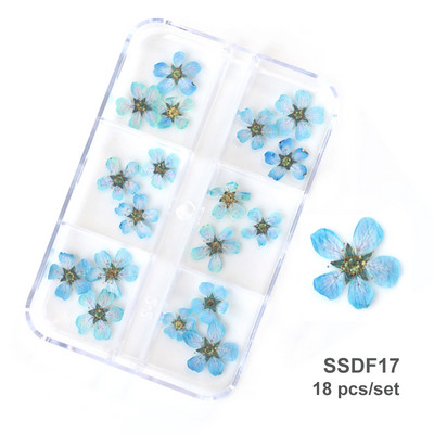 3D Dry Flower Nail Art Διακόσμηση Πραγματικά μίνι αυτοκόλλητα αποξηραμένα άνθη Φυσικά σχέδια με λουλουδάτα γοητεία DIY Αξεσουάρ για νύχια μανικιούρ