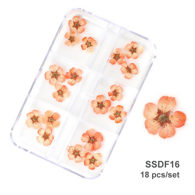 3D Dry Flower Nail Art Διακόσμηση Πραγματικά μίνι αυτοκόλλητα αποξηραμένα άνθη Φυσικά σχέδια με λουλουδάτα γοητεία DIY Αξεσουάρ για νύχια μανικιούρ