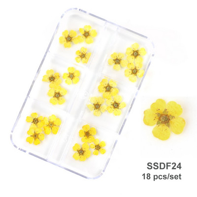 3D Dry Flower Nail Art Διακόσμηση Πραγματικά μίνι αυτοκόλλητα αποξηραμένα άνθη Φυσικά σχέδια με λουλουδάτα γοητεία DIY Αξεσουάρ για νύχια μανικιούρ
