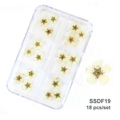 3D Dry Flower Nail Art Διακόσμηση Πραγματικά μίνι αυτοκόλλητα αποξηραμένα άνθη Φυσικά σχέδια με λουλουδάτα γοητεία DIY Αξεσουάρ για νύχια μανικιούρ