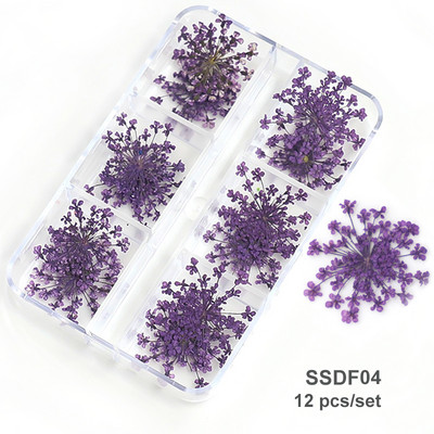 3D Dry Flower Nail Art Διακόσμηση Πραγματικά μίνι αυτοκόλλητα αποξηραμένα άνθη Φυσικά σχέδια με λουλουδάτα γοητεία DIY Αξεσουάρ για νύχια μανικιούρ