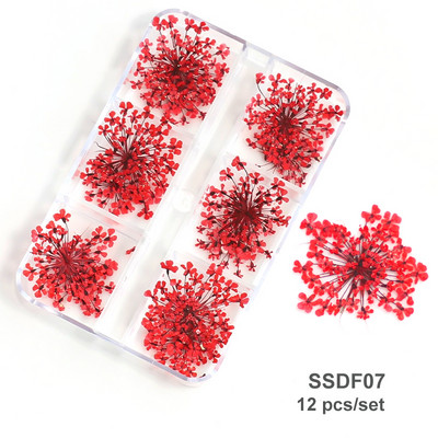 3D Dry Flower Nail Art Διακόσμηση Πραγματικά μίνι αυτοκόλλητα αποξηραμένα άνθη Φυσικά σχέδια με λουλουδάτα γοητεία DIY Αξεσουάρ για νύχια μανικιούρ