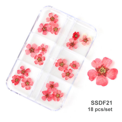 3D Dry Flower Nail Art Διακόσμηση Πραγματικά μίνι αυτοκόλλητα αποξηραμένα άνθη Φυσικά σχέδια με λουλουδάτα γοητεία DIY Αξεσουάρ για νύχια μανικιούρ