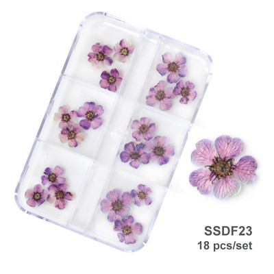 3D Dry Flower Nail Art Διακόσμηση Πραγματικά μίνι αυτοκόλλητα αποξηραμένα άνθη Φυσικά σχέδια με λουλουδάτα γοητεία DIY Αξεσουάρ για νύχια μανικιούρ