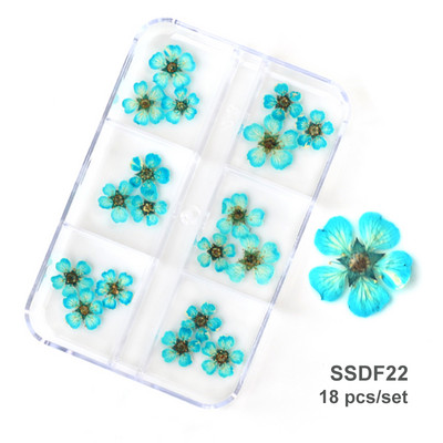 3D Dry Flower Nail Art Διακόσμηση Πραγματικά μίνι αυτοκόλλητα αποξηραμένα άνθη Φυσικά σχέδια με λουλουδάτα γοητεία DIY Αξεσουάρ για νύχια μανικιούρ