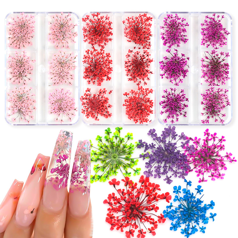3D Dry Flower Nail Art Διακόσμηση Πραγματικά μίνι αυτοκόλλητα αποξηραμένα άνθη Φυσικά σχέδια με λουλουδάτα γοητεία DIY Αξεσουάρ για νύχια μανικιούρ