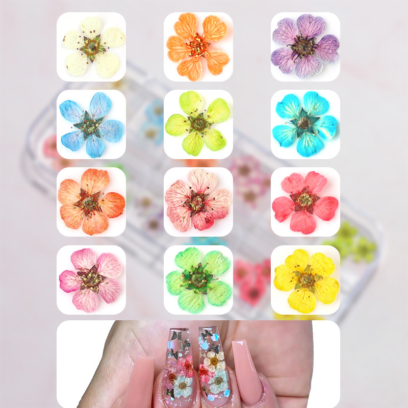 3D Dry Flower Nail Art Διακόσμηση Πραγματικά μίνι αυτοκόλλητα αποξηραμένα άνθη Φυσικά σχέδια με λουλουδάτα γοητεία DIY Αξεσουάρ για νύχια μανικιούρ