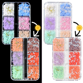 UV слънчева светлина Промяна на цвета Nail Art Flower Heart Light Sensitive Colors Changing Macaroon Floret 3D Accessory Kit Nails Decoration