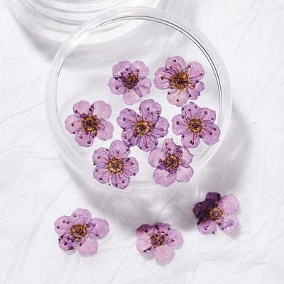 10db Valódi szárított virágok körömdíszítés DIY Dry Narcissus Dry Flower UV Gél kerék Körömdísz strassz Manikűr kellékek ÚJ