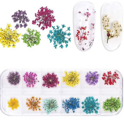 10db Valódi szárított virágok körömdíszítés DIY Dry Narcissus Dry Flower UV Gél kerék Körömdísz strassz Manikűr kellékek ÚJ