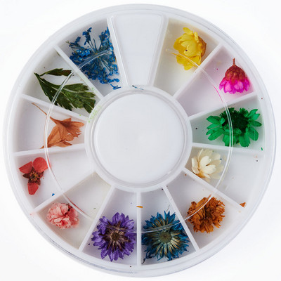 10db Valódi szárított virágok körömdíszítés DIY Dry Narcissus Dry Flower UV Gél kerék Körömdísz strassz Manikűr kellékek ÚJ