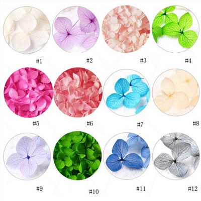 10db Valódi szárított virágok körömdíszítés DIY Dry Narcissus Dry Flower UV Gél kerék Körömdísz strassz Manikűr kellékek ÚJ