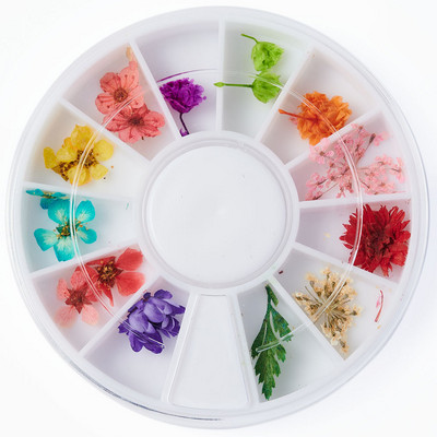 10db Valódi szárított virágok körömdíszítés DIY Dry Narcissus Dry Flower UV Gél kerék Körömdísz strassz Manikűr kellékek ÚJ