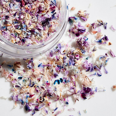 10db Valódi szárított virágok körömdíszítés DIY Dry Narcissus Dry Flower UV Gél kerék Körömdísz strassz Manikűr kellékek ÚJ