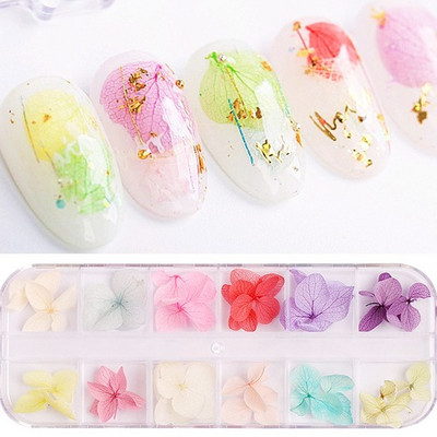 10db Valódi szárított virágok körömdíszítés DIY Dry Narcissus Dry Flower UV Gél kerék Körömdísz strassz Manikűr kellékek ÚJ