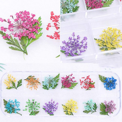 10db Valódi szárított virágok körömdíszítés DIY Dry Narcissus Dry Flower UV Gél kerék Körömdísz strassz Manikűr kellékek ÚJ