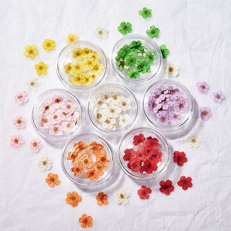 10db Valódi szárított virágok körömdíszítés DIY Dry Narcissus Dry Flower UV Gél kerék Körömdísz strassz Manikűr kellékek ÚJ