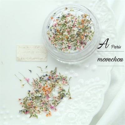 1PC serija osušenog cvijeća Umjetnički ukrasi za nokte Živopisne izuzetne prirodne mješovite boje uljane slike Cvjetni nakit za nokte Trend privjesci